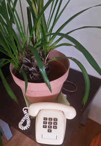 phoneplant