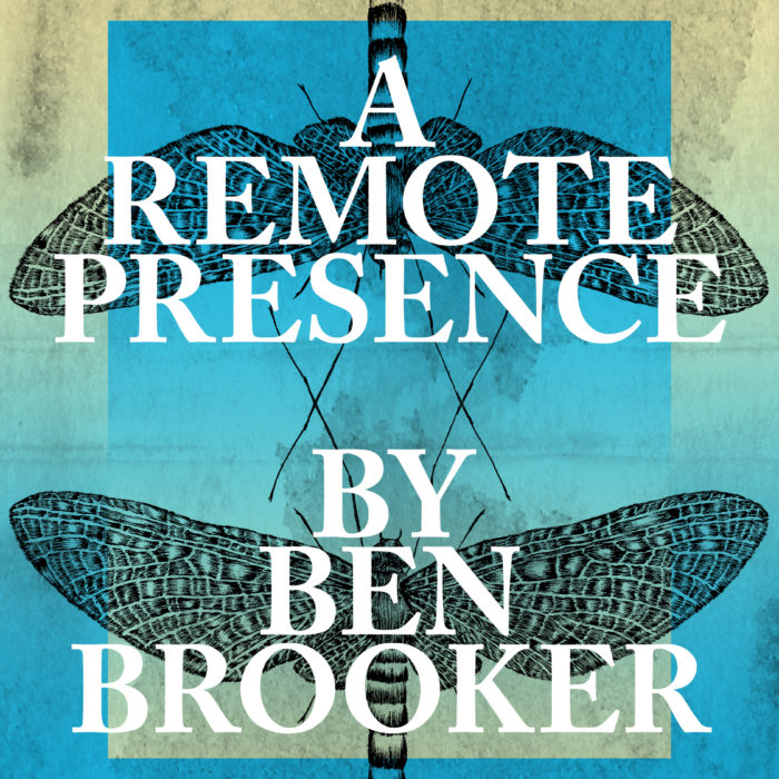 A Remote Presence