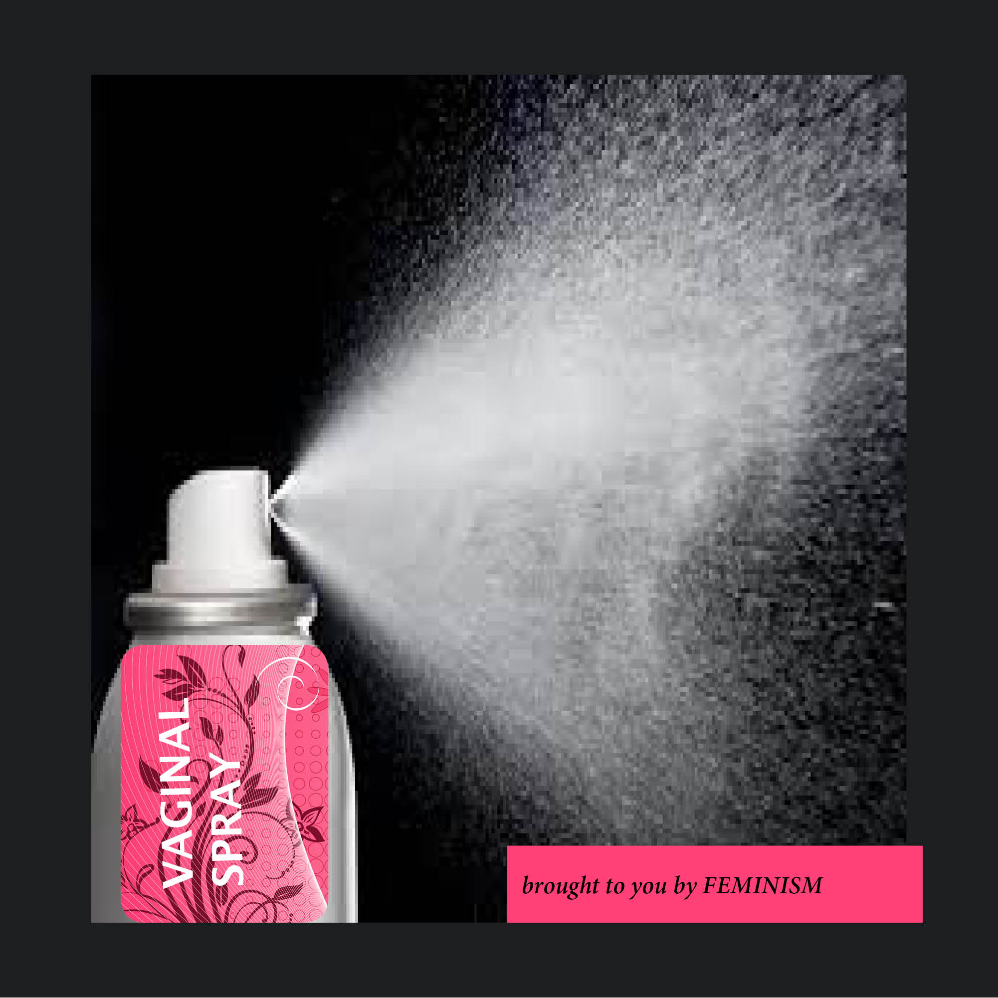 Vaginal Spray: feminist stories