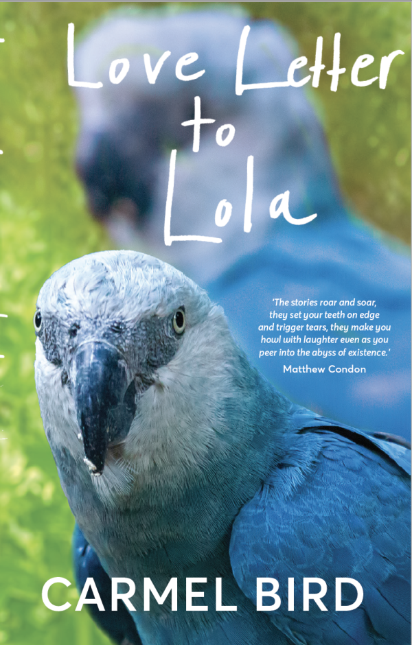 Cover of Love Letter to Lola by Carmel Bird