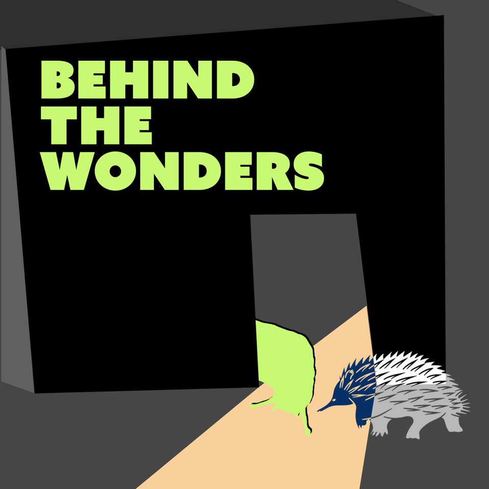 Behind The Wonders Podcast