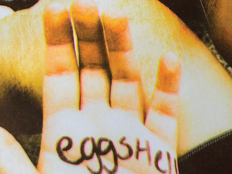 Meet ‘Eggshell’ author Olivia De Zilva
