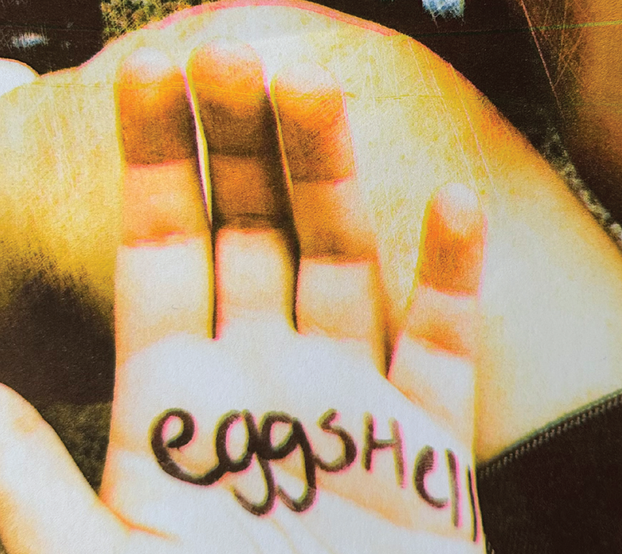 Meet ‘Eggshell’ author Olivia De Zilva